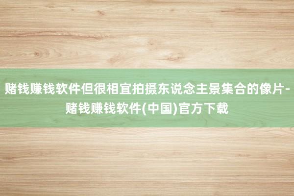 赌钱赚钱软件但很相宜拍摄东说念主景集合的像片-赌钱赚钱软件(中国)官方下载