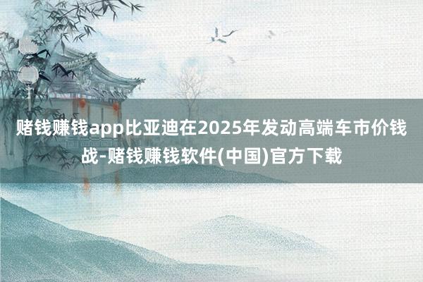 赌钱赚钱app比亚迪在2025年发动高端车市价钱战-赌钱赚钱软件(中国)官方下载